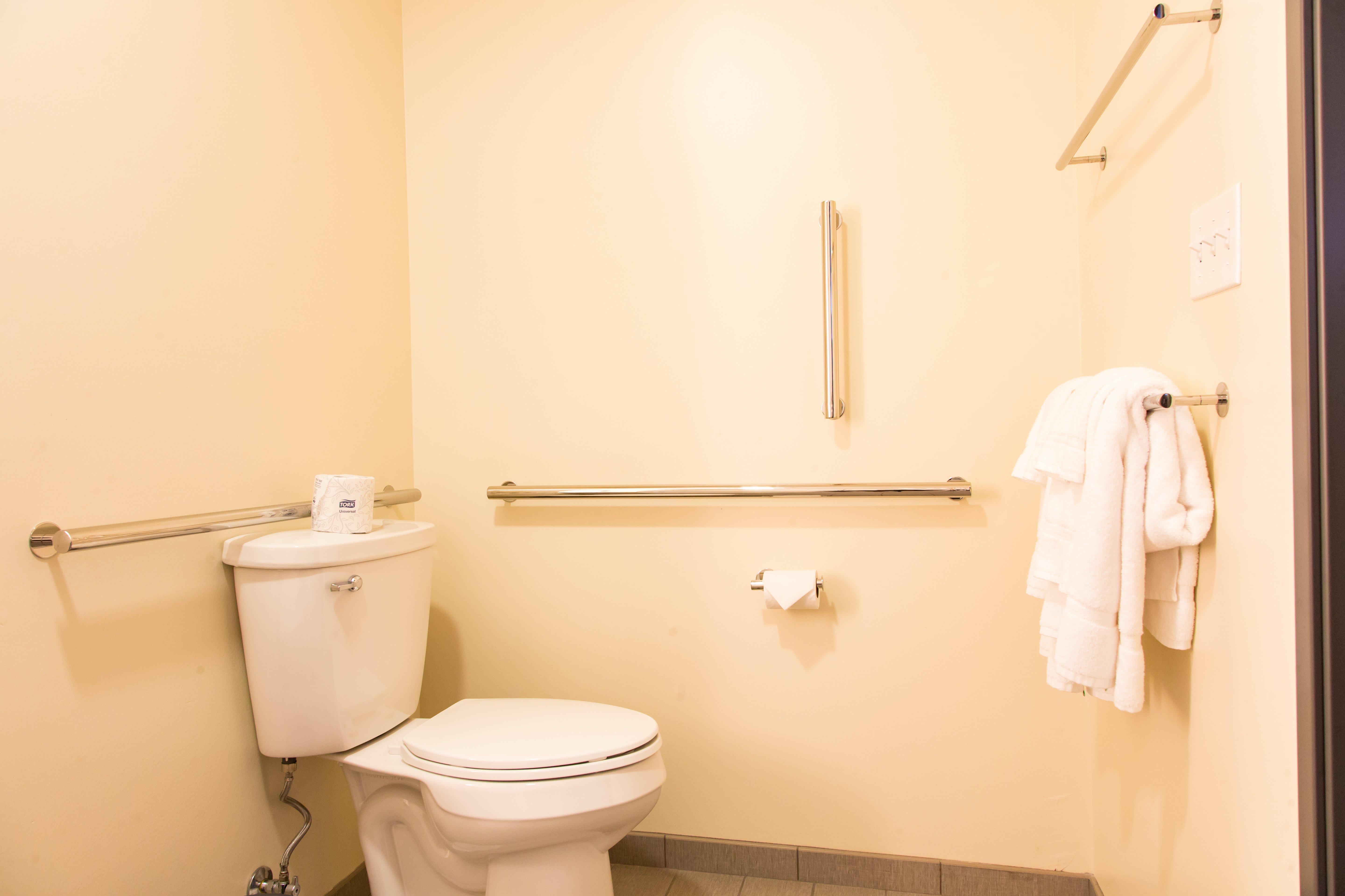 Holiday Inn Hotel & Suites - Mount Pleasant By Ihg Eksteriør billede